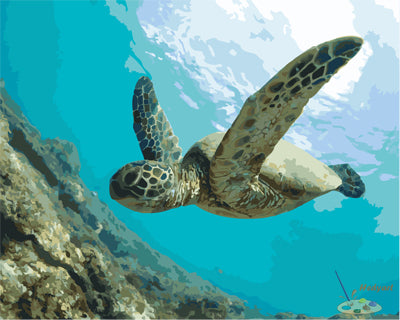 Tier Malen nach Zahlen GX27202