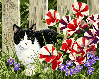 Hund & Katze Malen nach Zahlen GX27216