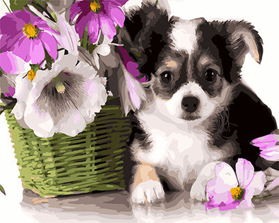 Hund & Katze Malen nach Zahlen GX27251