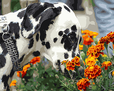 Hund & Katze Malen nach Zahlen GX27256