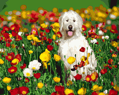 Hund & Katze Malen nach Zahlen GX27288