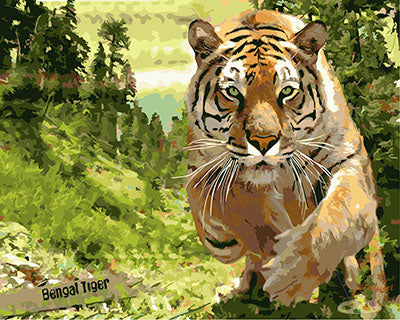 Tier Malen nach Zahlen GX27312