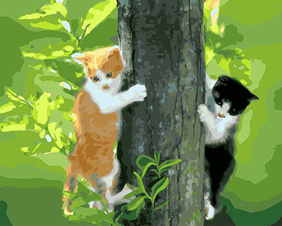 Hund & Katze Malen nach Zahlen GX27316