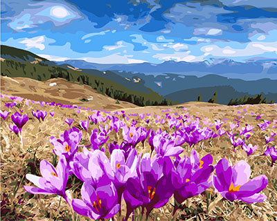 Blume Malen nach Zahlen GX27318