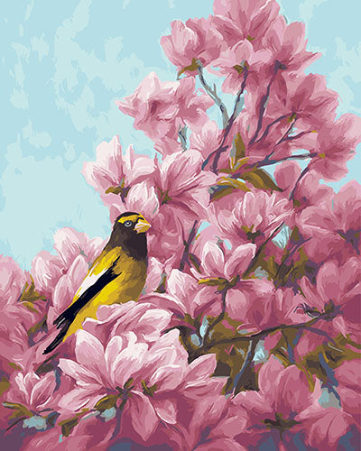 Vogel Malen nach Zahlen GX27338