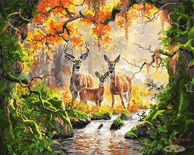 Tier Malen nach Zahlen GX27358