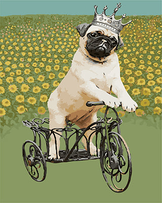 Hund & Katze Malen nach Zahlen GX27368