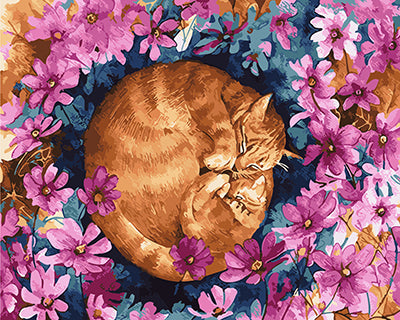 Hund & Katze Malen nach Zahlen GX27388