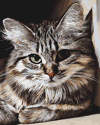 Hund & Katze Malen nach Zahlen GX27396