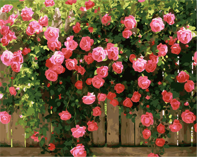 Blume Malen nach Zahlen GX27422