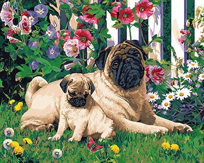 Hund & Katze Malen nach Zahlen GX27441