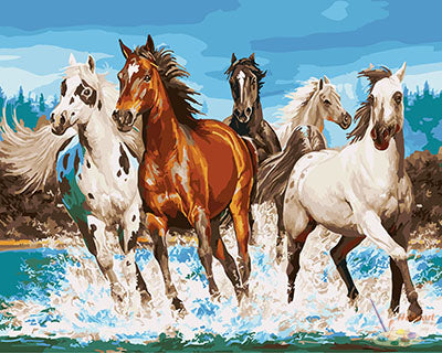 Tier Malen nach Zahlen GX27442