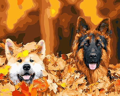 Hund & Katze Malen nach Zahlen GX27446