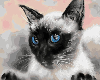 Hund & Katze Malen nach Zahlen GX27452