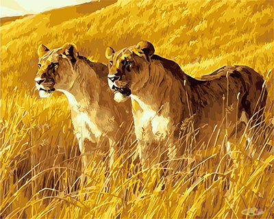 Tier Malen nach Zahlen GX27465