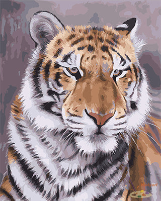 Tier Malen nach Zahlen GX27473