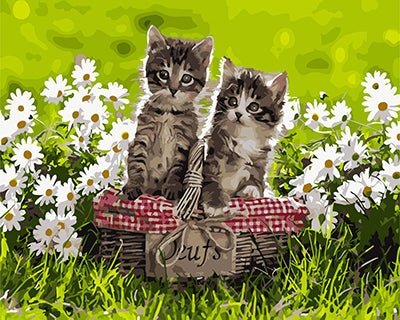 Hund & Katze Malen nach Zahlen GX27519