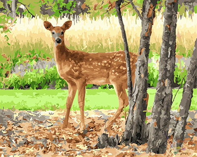 Tier Malen nach Zahlen GX27521