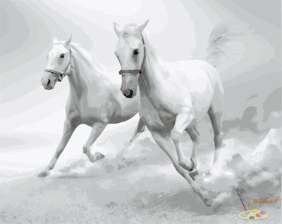 Tier Malen nach Zahlen GX27577