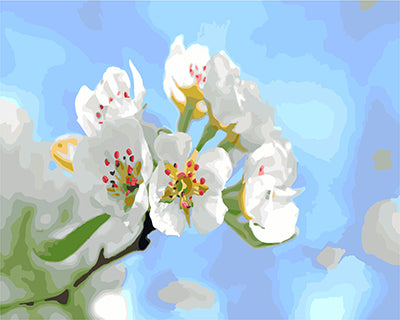 Blume Malen nach Zahlen GX27598