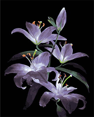 Blume Malen nach Zahlen GX27610