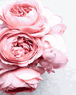 Blume Malen nach Zahlen GX27648