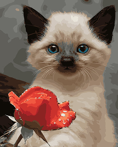 Hund & Katze Malen nach Zahlen GX27673