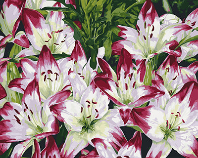 Blume Malen nach Zahlen GX27692