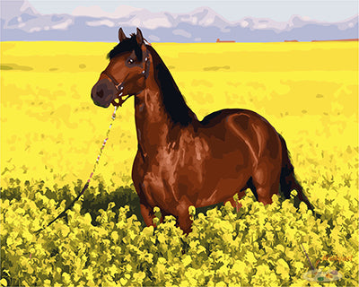 Tier Malen nach Zahlen GX27705