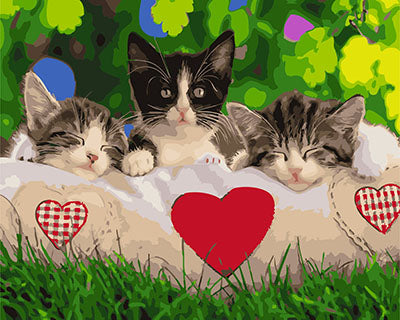 Hund & Katze Malen nach Zahlen GX27736