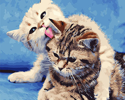 Hund & Katze Malen nach Zahlen GX27743