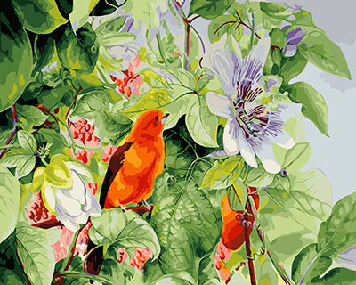 Vogel Malen nach Zahlen GX27780