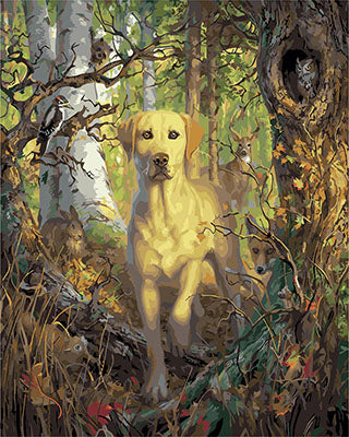 Hund & Katze Malen nach Zahlen GX27811