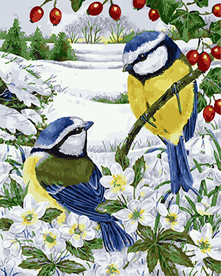 Vogel Malen nach Zahlen GX27890