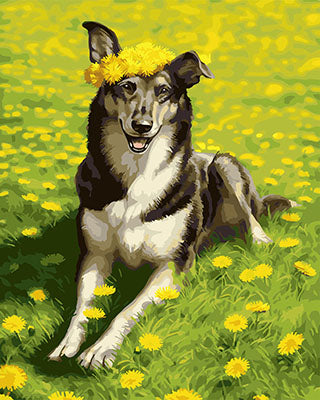 Hund & Katze Malen nach Zahlen GX27949