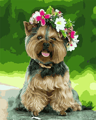 Hund & Katze Malen nach Zahlen GX27991