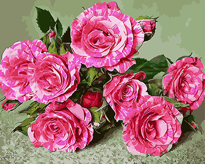 Blume Malen nach Zahlen GX28044