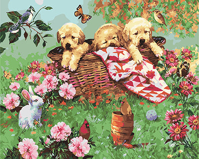 Hund & Katze Malen nach Zahlen GX28054