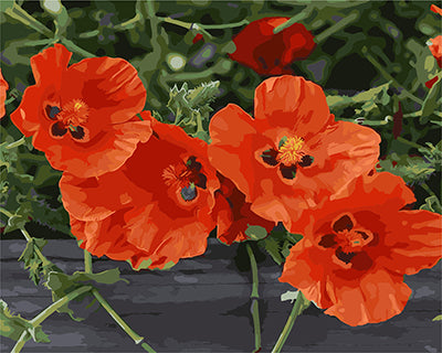 Blume Malen nach Zahlen GX28105