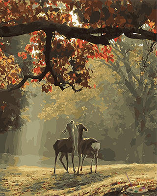 Tier Malen nach Zahlen GX28129