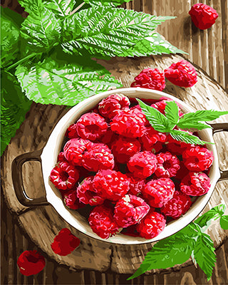 Stillleben Malen nach Zahlen GX28158