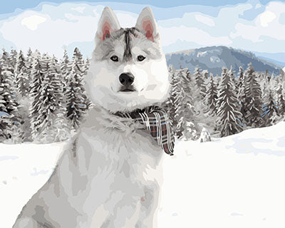 Hund & Katze Malen nach Zahlen GX28183