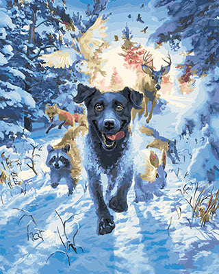 Hund & Katze Malen nach Zahlen GX28189