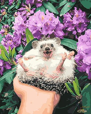 Tier Malen nach Zahlen GX28210