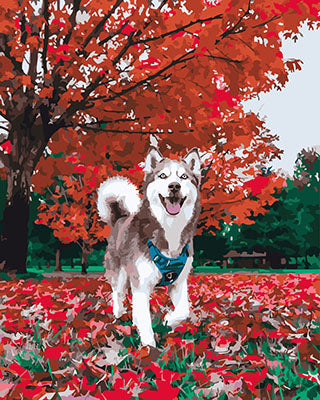 Hund & Katze Malen nach Zahlen GX28211