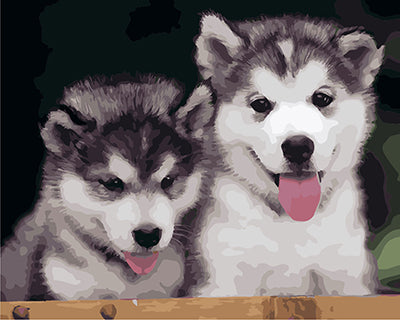 Hund & Katze Malen nach Zahlen GX28235