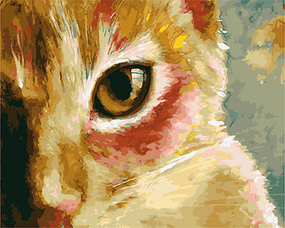 Hund & Katze Malen nach Zahlen GX28289