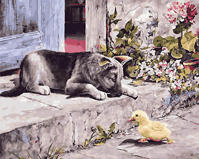 Hund & Katze Malen nach Zahlen GX28324