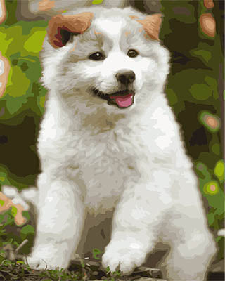 Hund & Katze Malen nach Zahlen GX28325