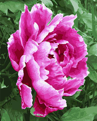 Blume Malen nach Zahlen GX28384